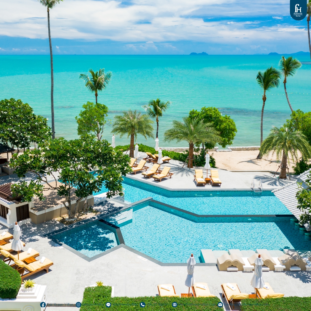 Lost Between Coconut Trees and the Sky: The Secret Side of Samui